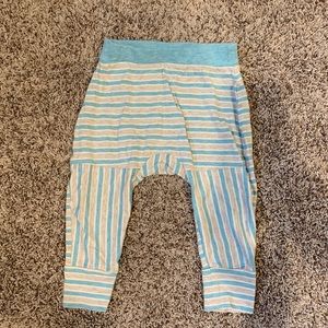 Patagonia organic cotton joggers